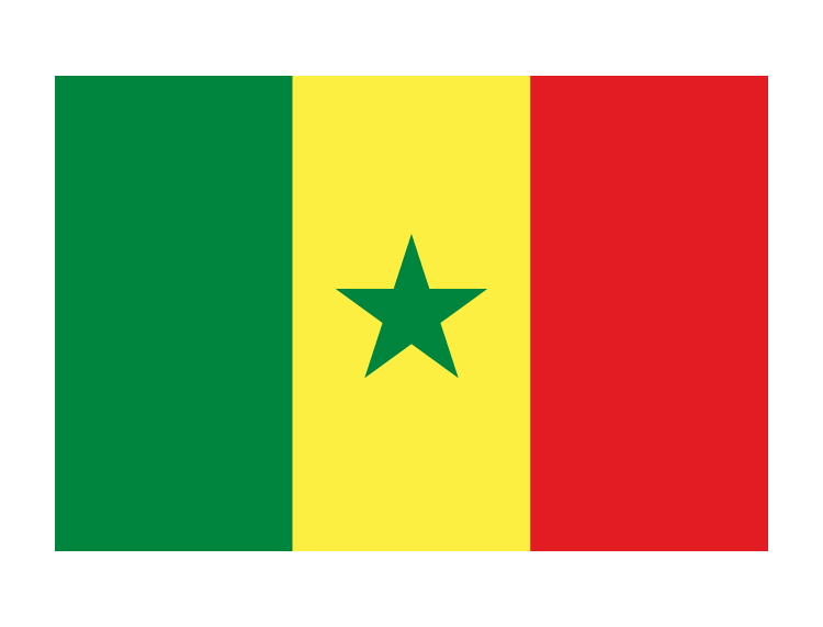 塞内加尔国旗矢量图