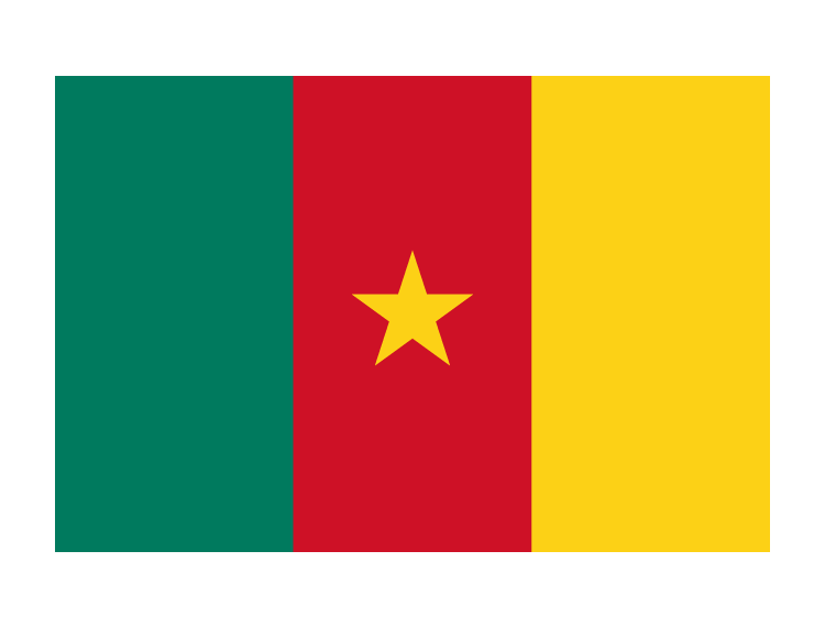 喀麦隆国旗矢量图