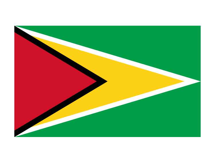 圭亚那国旗矢量图