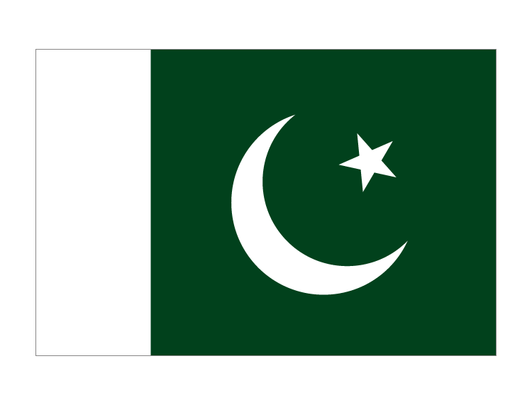 巴基斯坦国旗矢量图