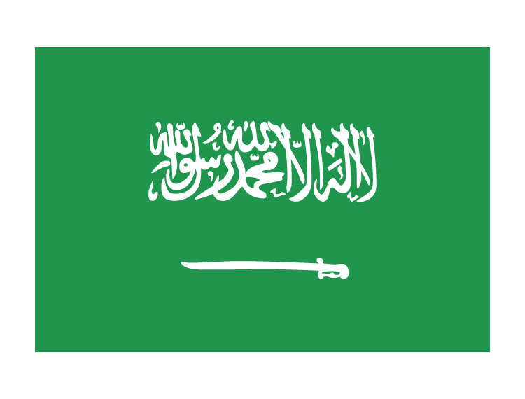 沙特阿拉伯国旗矢量图