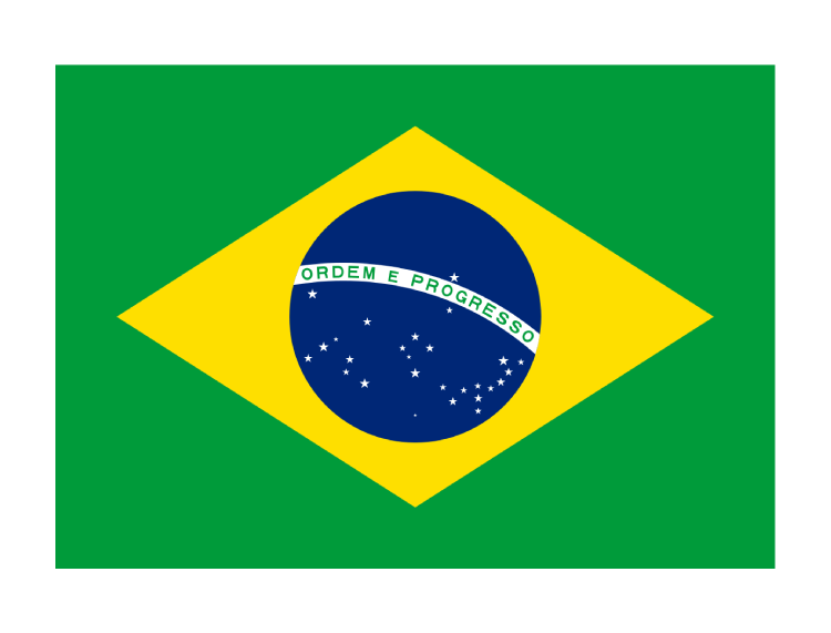 巴西国旗矢量图